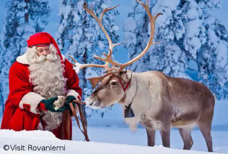 Babbo Natale e Renna - Rovaniemi